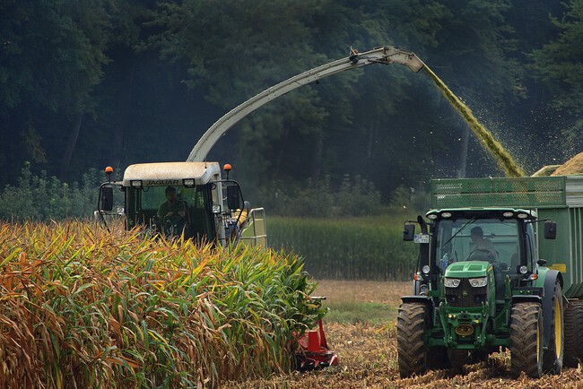 México tiene un nuevo laboratorio para el campo: Bayer quiere producir más maíz con menos agua
