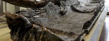 Cinco canoas de hace 7.000 años demuestran que en el neolítico eran auténticos ingenieros navales 