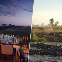 El turismo de ultrarricos ha encontrado un oasis en Kenia. Un Safari a 3.500 dólares la noche que bloquea la migración de animales 