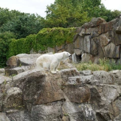 Foto 2 de 16 de la galería muestras-fe-50mm-f1-4-za en Xataka Foto