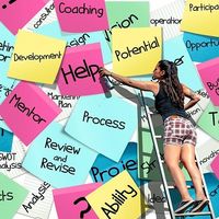 Año nuevo, currículum nuevo 