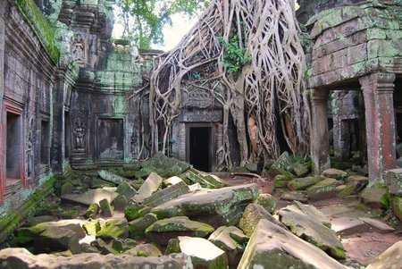 Camboya: la selva vence al hombre en Ta Prohm