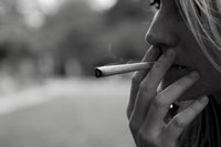 En 2012 los extranjeros no podrán consumir marihuana en los coffeeshops holandeses