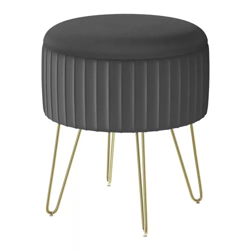 WOLTU Puff Almacenaje, Otomana de Salon, Taburete Redondo de Terciopelo, Baul Puff para Sala de Estar/Dormitorio/Entrada, Patas de Metal, φ31,5x37.5 cm, Gris Oscuro, SH105dgr
