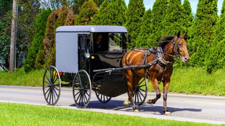 robo caballo
