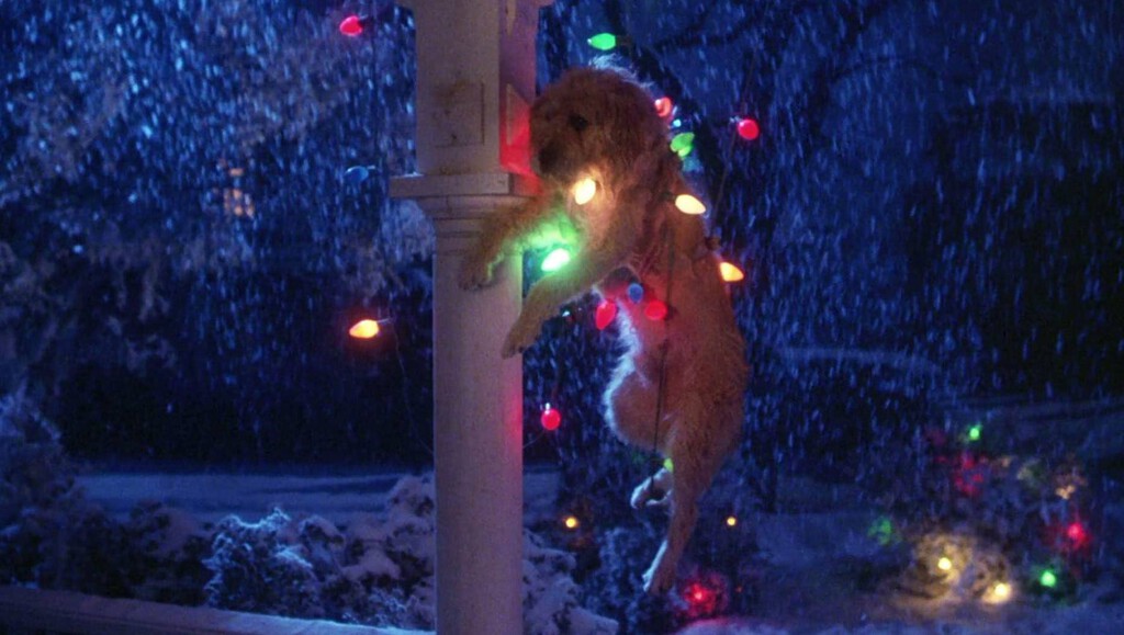 Hoy en streaming, el cuento de Navidad más gamberro de los 80. Todo un clásico del cine familiar que sigue siendo irresistible