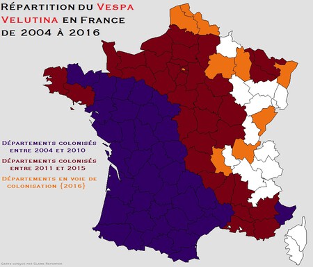 Repartition Du Frelon Asiatique In France From 2004 To 2016