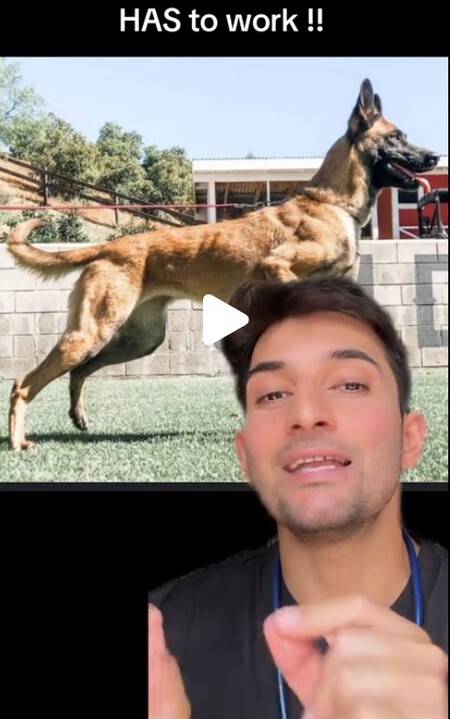Sin Titulo