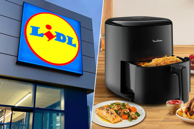 Lidl Moulinex Oferta