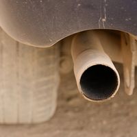 Sí, los experimentos financiados por Volkswagen, Daimler y BMW también se hicieron con personas