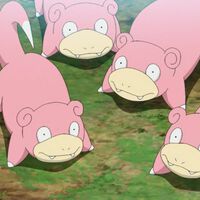 Leyendas Pokémon: Z-A quiere que te lleves un gran premio, pero deberás demostrar que eres un auténtico Slowpoke