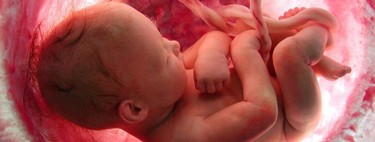 El cambio climático podría afectar de forma negativa al corazón de los bebés en las próximas décadas