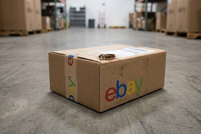 Ebay