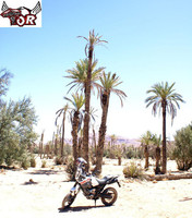 Primera Videoprueba de la Yamaha XT660Z Ténéré 2008