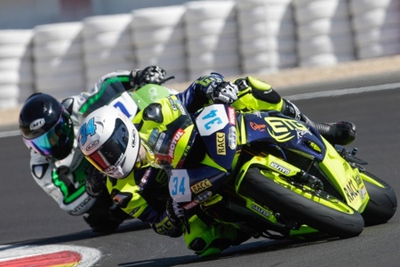 Pinsach600alba2015 1