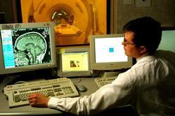 Identificada la zona del cerebro en la que se encuentra el altruismo