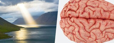 Em busca do “botão de Deus”: o que acontece com o nosso cérebro quando rezamos ou meditamos, segundo a neurociência 