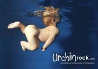 Preciosas fotos de bebés bajo el agua