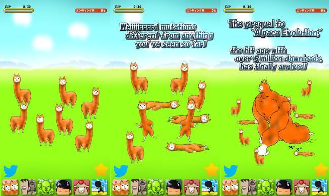 Alpaca