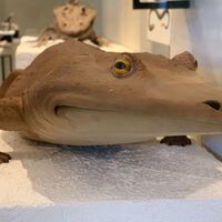 Mucho antes que los dinosaurios, un gigantesco anfibio dominaba las aguas: así era el mastodonsaurus