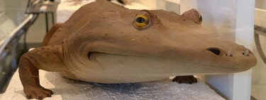 Mucho antes que los dinosaurios, un gigantesco anfibio dominaba las aguas: así era el mastodonsaurus