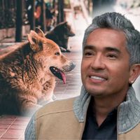 César Millán, adiestrador canino: "Los perros callejeros son los mejores porque no necesitan entrenamiento, solo cariño y amor" 