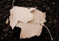 Romeo y Julieta en versión chilena, una historia con moraleja