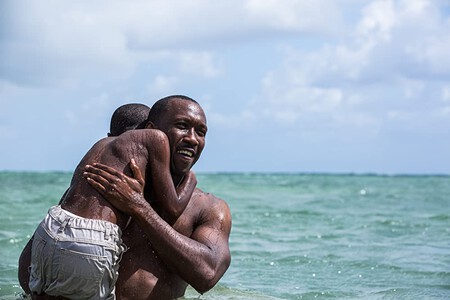 In The Name Of Love Moonlight 2016 Gateway Film Center