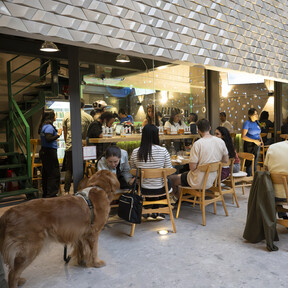 Adiós al ruido y las filas: el bar escondido de la Escandón para quienes ya no quieren lugares atascados
