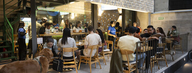 Adiós al ruido y las filas: el bar escondido de la Escandón para quienes ya no quieren lugares atascados
