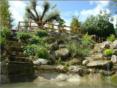 Bosque4