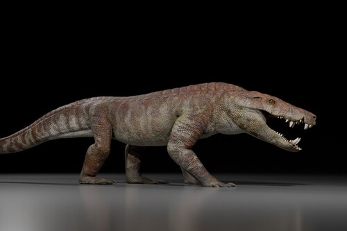 Cocodrilo Del Cretacico