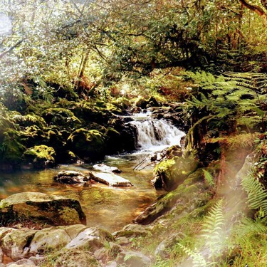 10 cascadas en un solo lugar, el paraíso oculto de Puebla para una escapada inolvidable