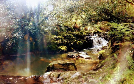 10 cascadas en un solo lugar, el paraíso oculto de Puebla para una escapada inolvidable