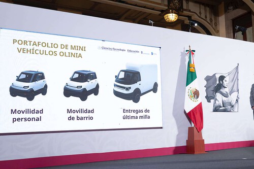 Olinia
