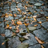 Tourists Are Stealing Dozens of Old Cobblestones in a Belgian City. They’re Not Cheap