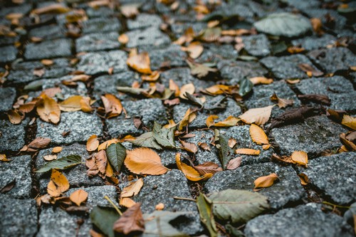 Cobblestones Bruges