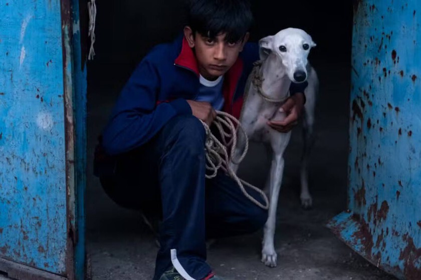 'Ciudad sin sueño' es una mirada íntima a la Cañada Real y una de las grandes películas españolas del año | Cannes 2025