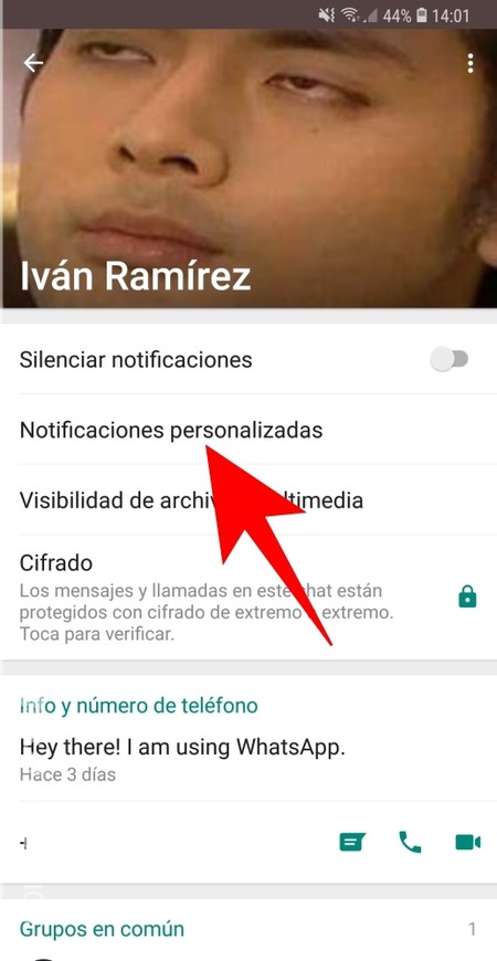 Cómo Personalizar Las Notificaciones De Whatsapp Para Diferentes Contactos 3704