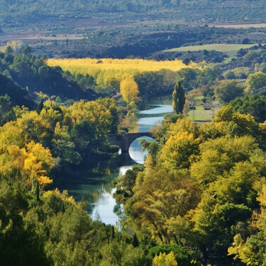 El futuro de 150.000 hectáreas de cultivo se decide hoy. Llevamos décadas peleados, pero las guerras por el agua no han hecho más que empezar
