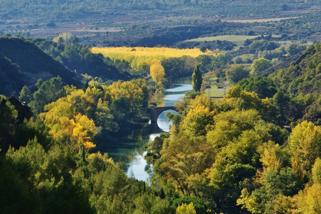 Rio Tajo