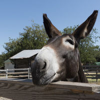 Al autónomo le sobran tareas a final de cada día y le faltan horas