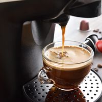 O passo a passo definitivo para higienizar a sua cafeteira de cápsula e evitar larvas no seu café 
