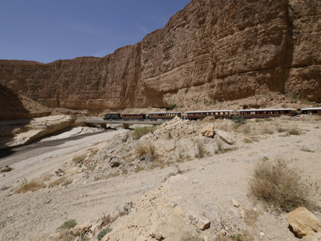 tren lagarto rojo