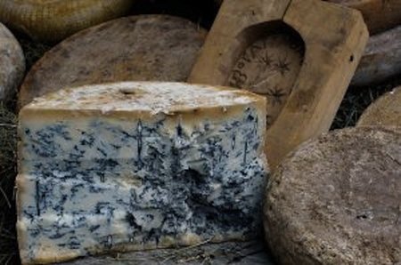 7 comidas que existen gracias a los microbios