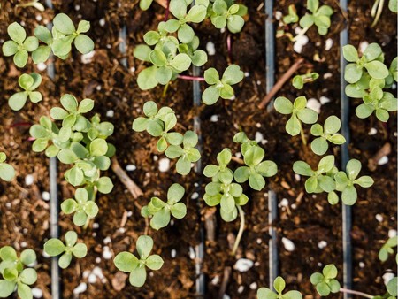 Copia De Copia De 1200x900