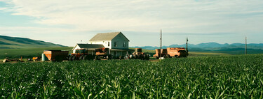 Es una de las mejores películas de ciencia ficción de todos los tiempos, pero la hicieron con una compra inusual: hectáreas de campos de maíz