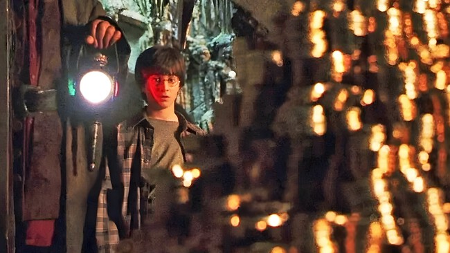 Imagen de Harry Potter (Warner Bros.)Hogwarts Legacy Boicot