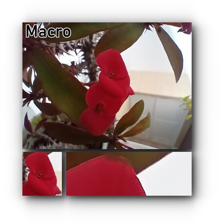 Macro Montaje