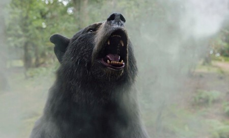 Oso Intoxicado streaming